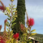 Borgo Buciardella 柏芝