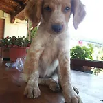 Borgo Buciardella Vakantieboerderij