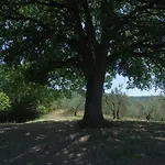 Borgo Buciardella Vakantieboerderij Baschi