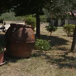 Borgo Buciardella 柏芝