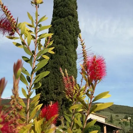 Borgo Buciardella Baschi