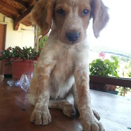 Borgo Buciardella Alloggio per agriturismo