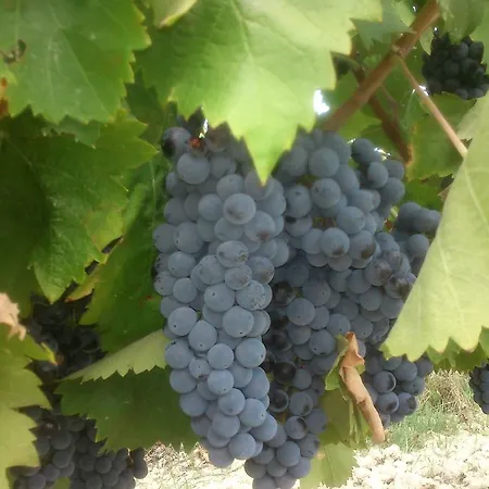 Borgo Buciardella * Baschi