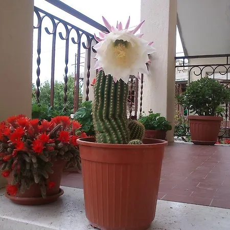 Borgo Buciardella Baschi