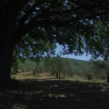 Alloggio per agriturismo Borgo Buciardella *