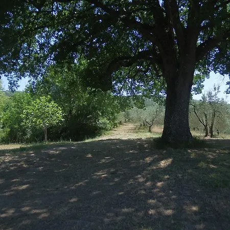Borgo Buciardella *