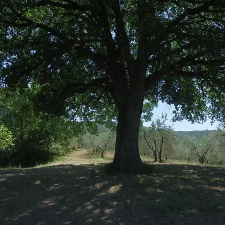 Borgo Buciardella Farmház Baschi