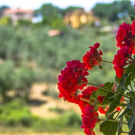 Borgo Buciardella * Baschi