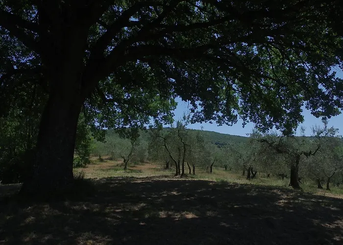 Gospodarstwo agroturystyczne Borgo Buciardella *