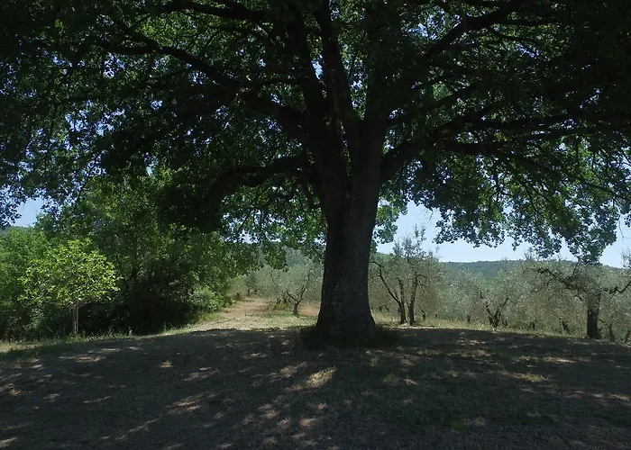 Borgo Buciardella Gospodarstwo agroturystyczne Baschi