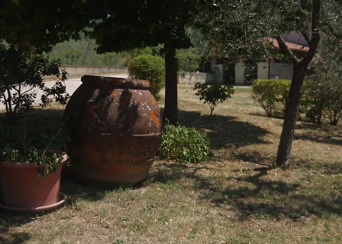 Borgo Buciardella 柏芝