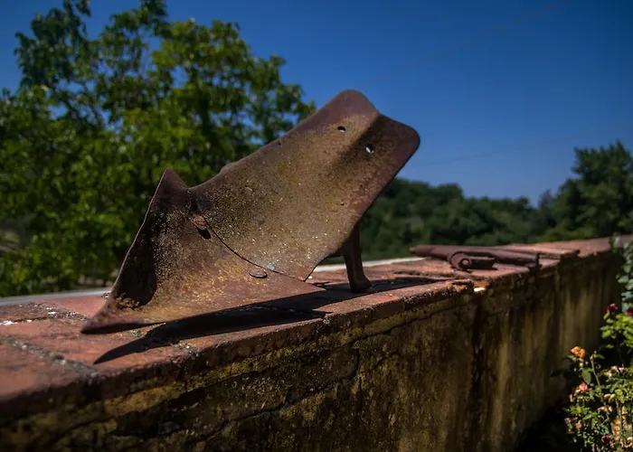 Borgo Buciardella 柏芝