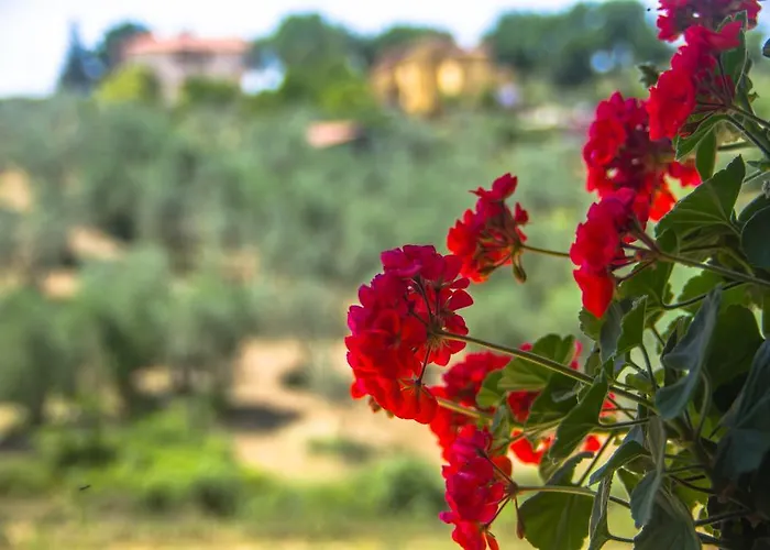 Borgo Buciardella * Baschi